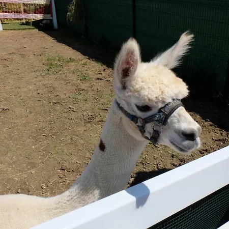 Lägenhet Triangel Pohoda - Ap. 223 *