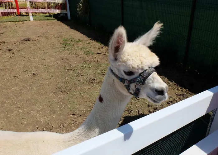 아파트 Triangel Pohoda - Ap. 223 *